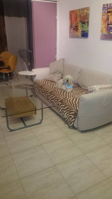 Zona de estar sofá con mesa de café.