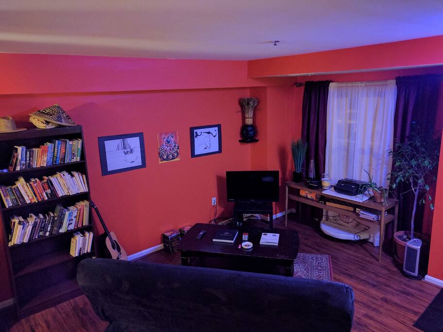 Living room with couch that turns into a bed.