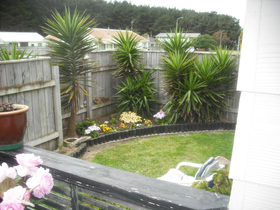 A view of our small front garden.