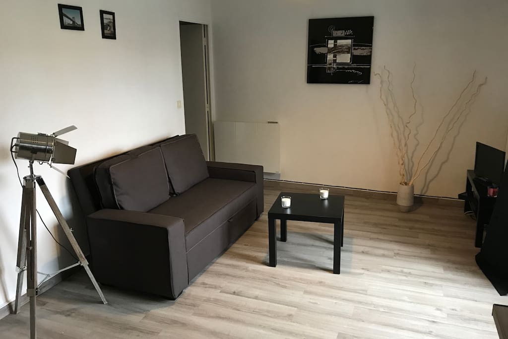 Nice living room with sofa bed