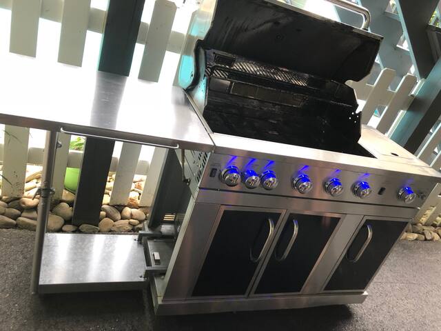 Chateau on Patton Mountain! Minutes to downtown! gallery image 5