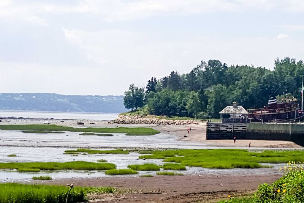 Sur les berges du fleuve