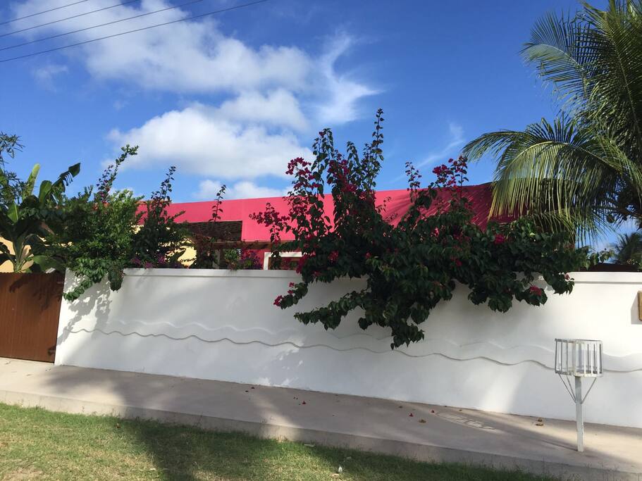 The house from the street