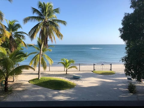 Beachfront | Unique Tropical Artist Home | 3 BR