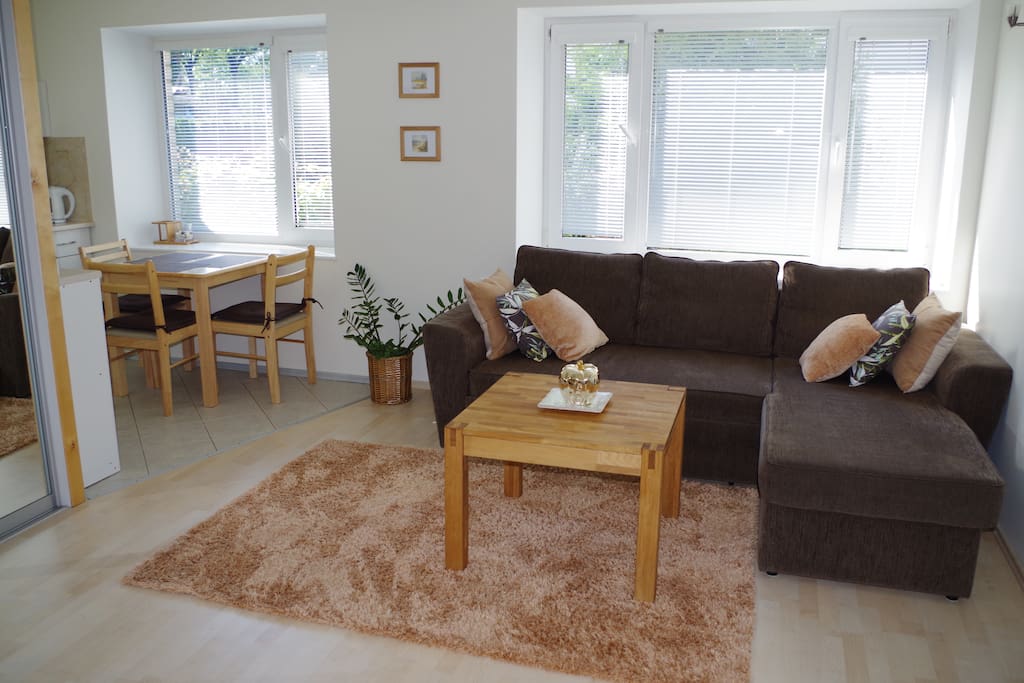 Living room with open kitchen