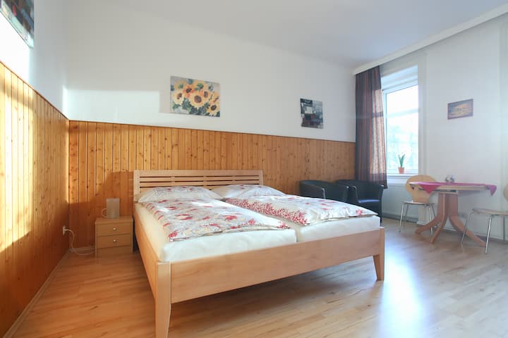 Gemütliches 1-zimmer Apartment Nahe Uno-city - 빈