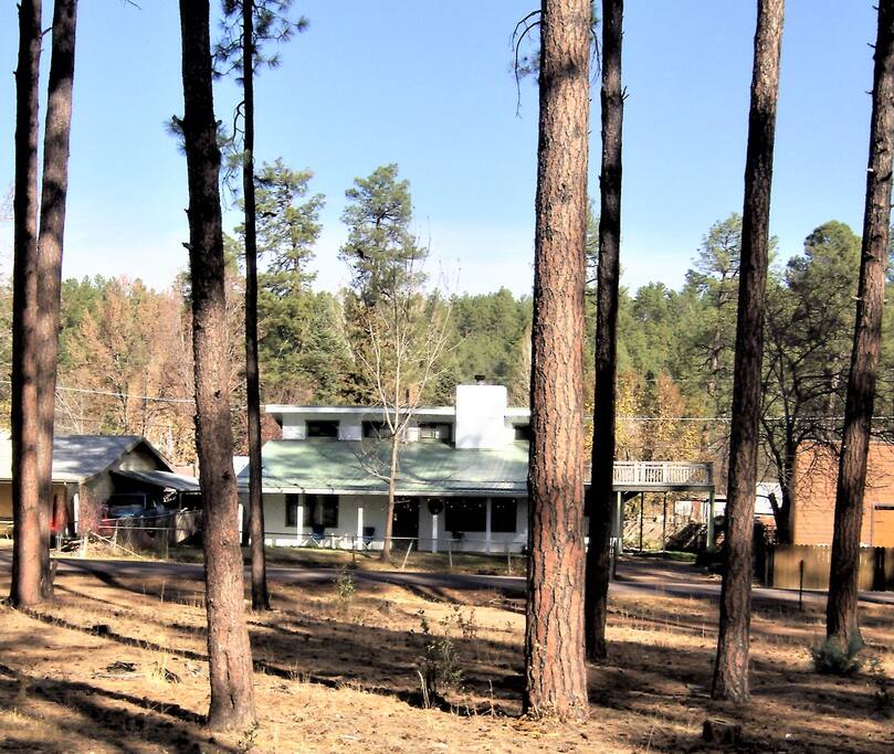 Cabin in Forest December