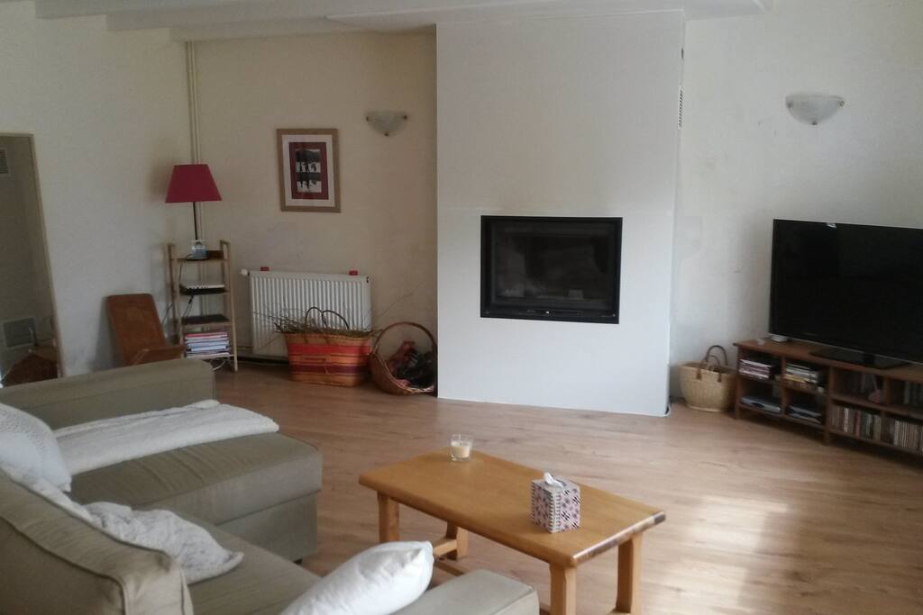 belle pièce à vivre confortable de 45 m2.