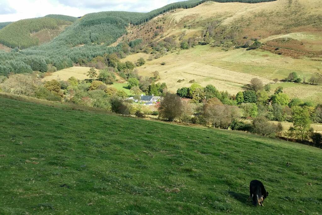 Blaen y Cwm Cottage Farm stays for Rent in Powys, Wales, United Kingdom