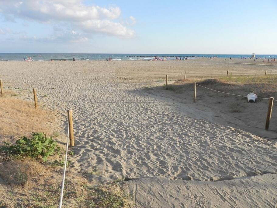 LA PLAYA / THE BEACH