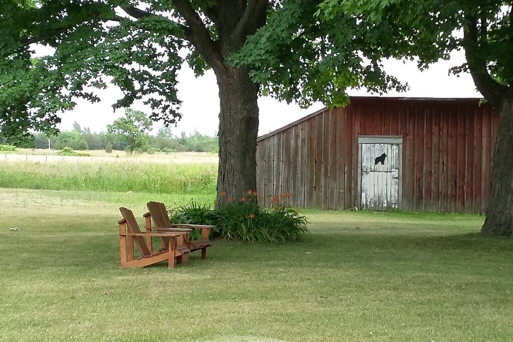 Enjoy the shade in the front yard
