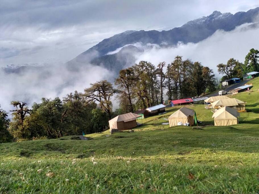 Chopta Meadows Heritage Camps, Chopta, Rudrapryag, Uttarakhand
