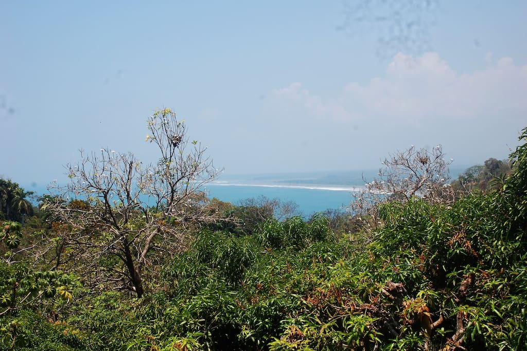 Sweeping sea view from patios