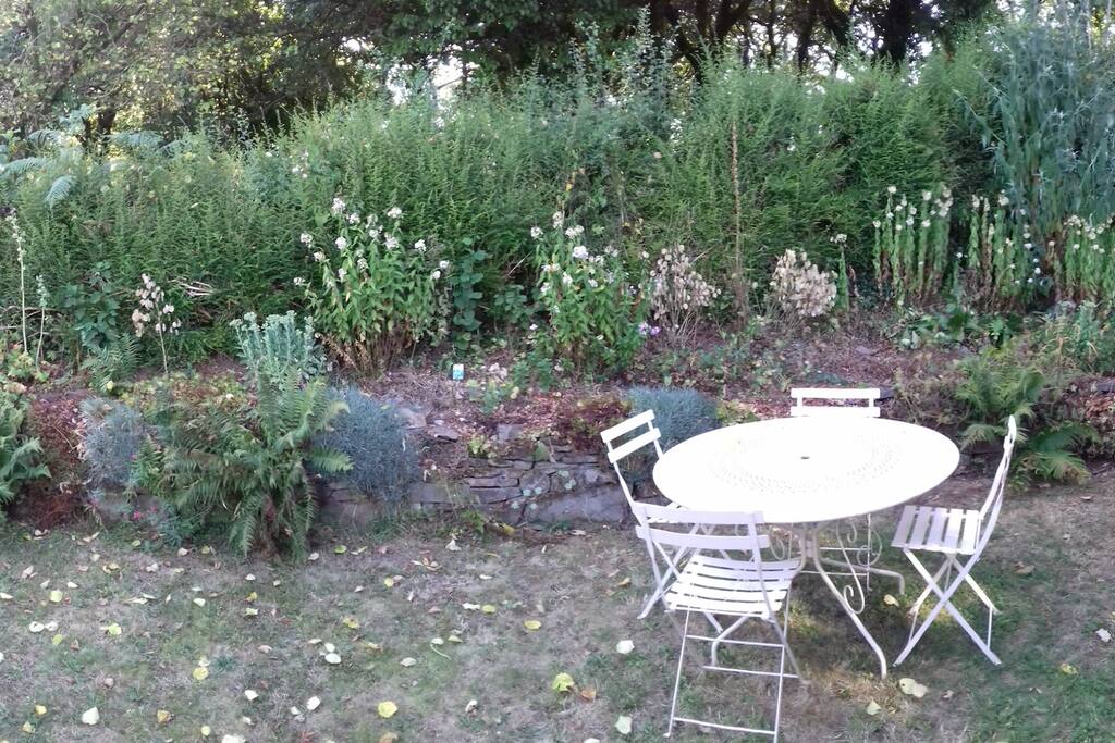 Sunny secluded garden