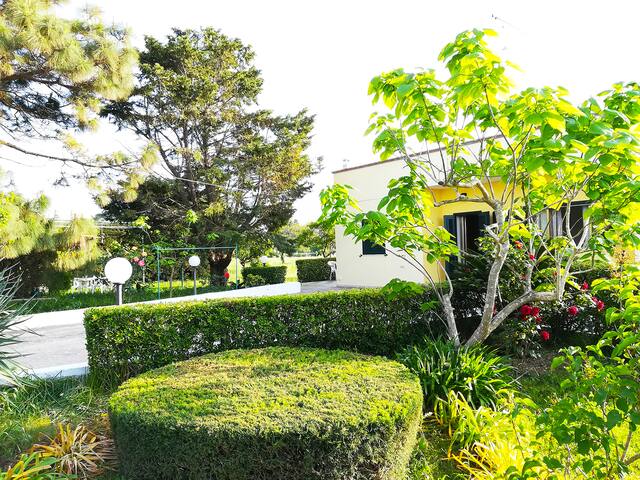 Incantevole Villa Maddalena gallery image 4