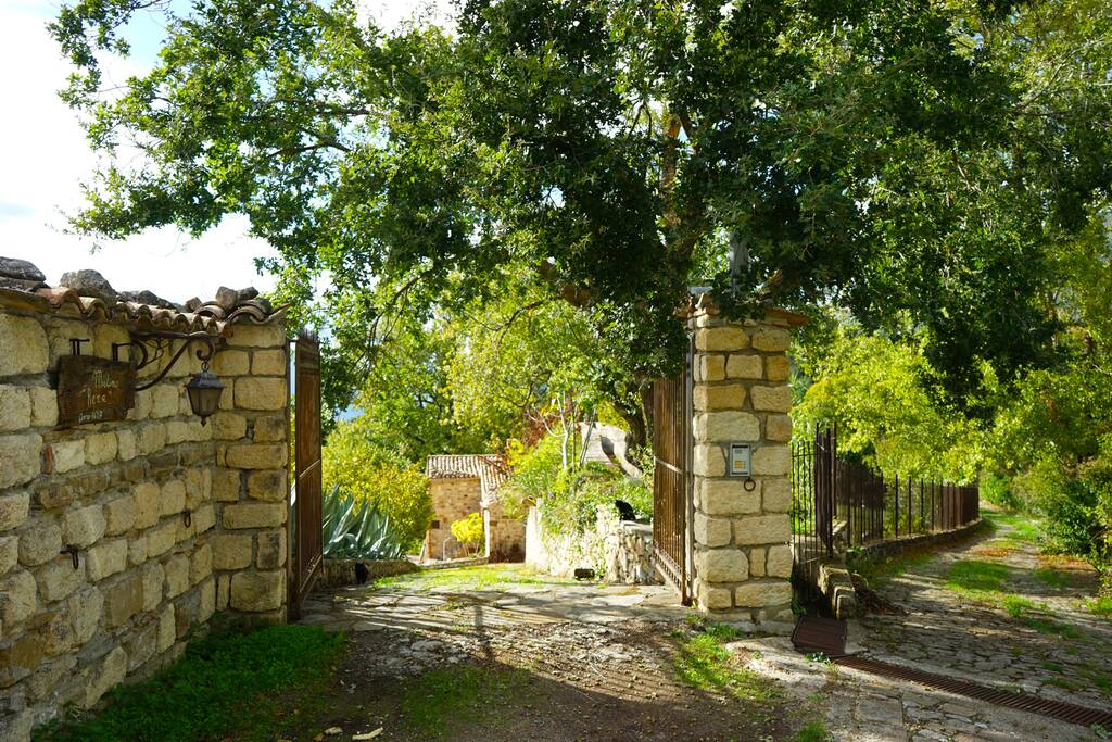 Entrata / Gates