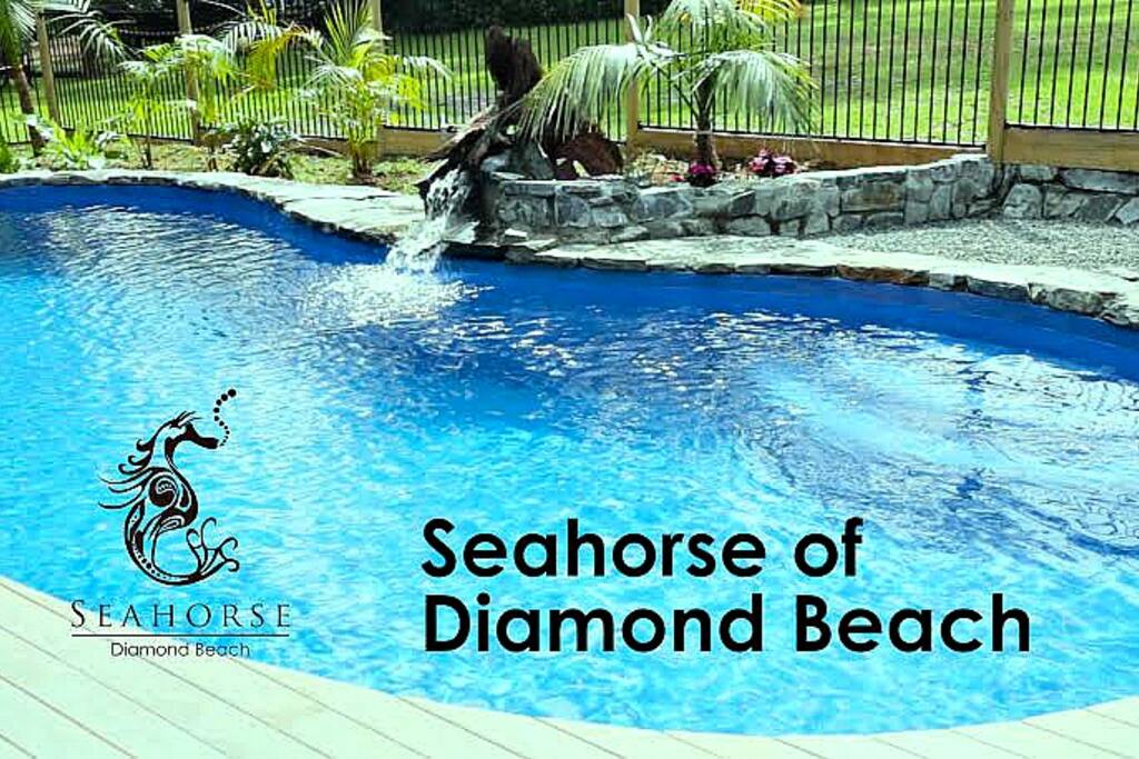 Your own private tropical pool - Sea Horse Diamond Beach