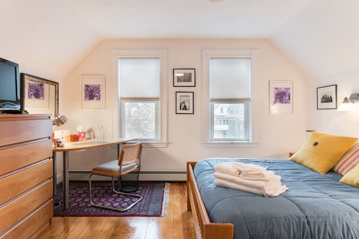 Veľa slnečného svetla po celý deň, ale najmä ráno.