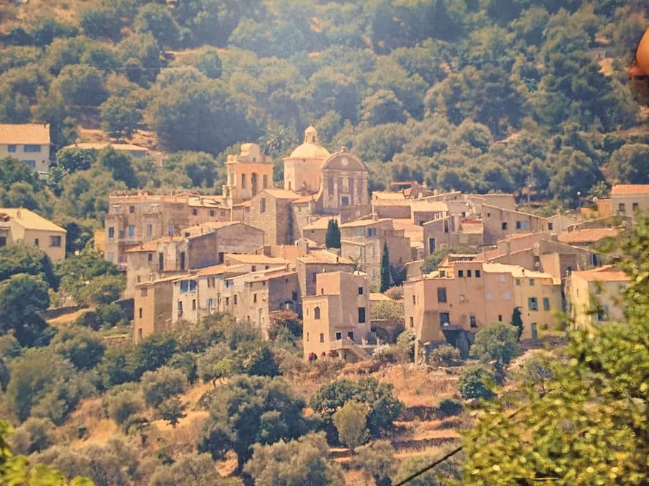 Cateri