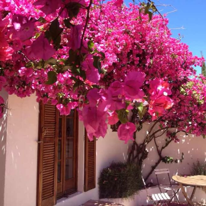 Bougainvillea Gästehaus