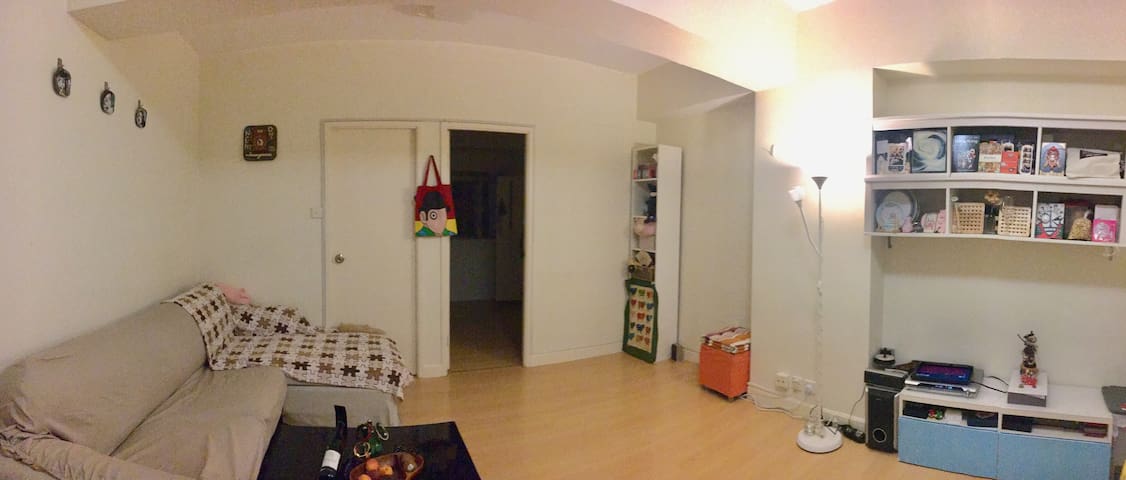 Convenient/Spacious/cozy apartment in Central