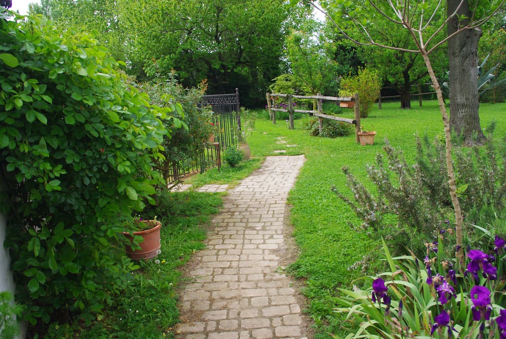 Le jardin.