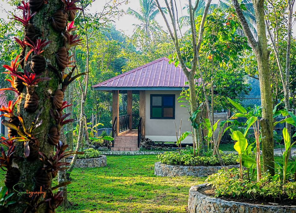 The Cabin where you will be staying