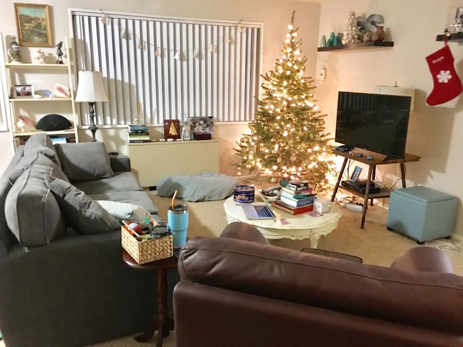 Living room with comfy couch that can serve as the place for the third person to sleep. TV has cable and roku. Christmas tree and decorations will be down.