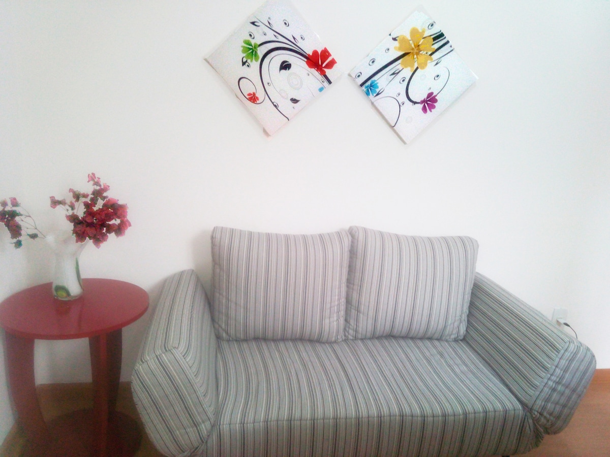 Este es el sofá actual en la solución salina.