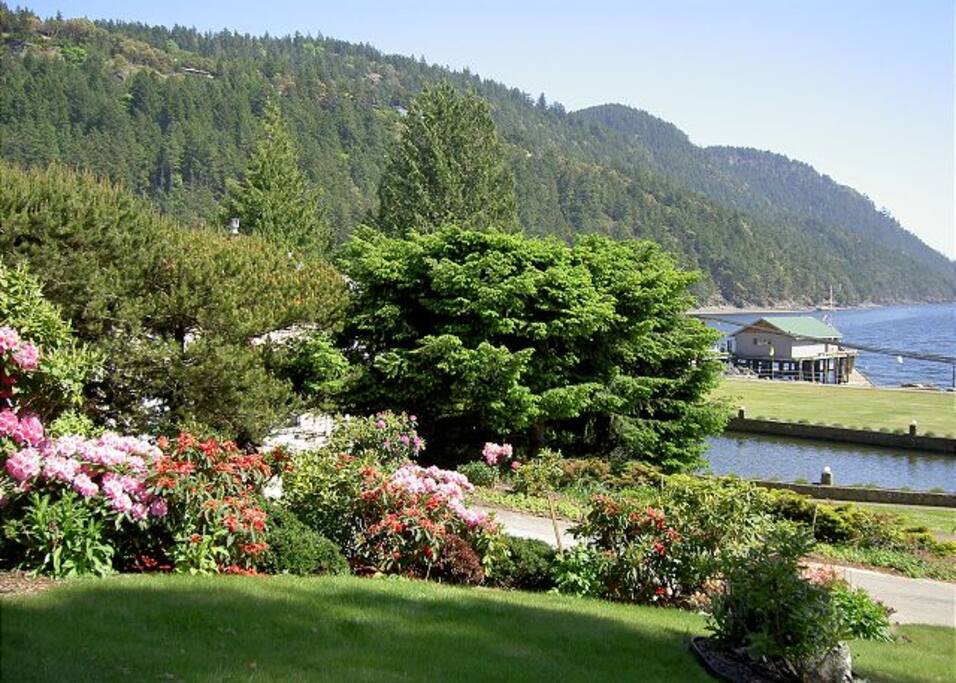 At the edge of the grassy front yard a wall of flowering rhododendrons greets spring visitors to this home.