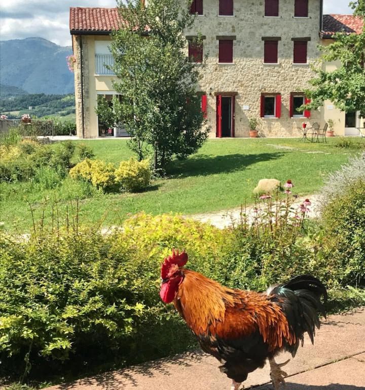 Lemire, Stanza Olivo - Conegliano
