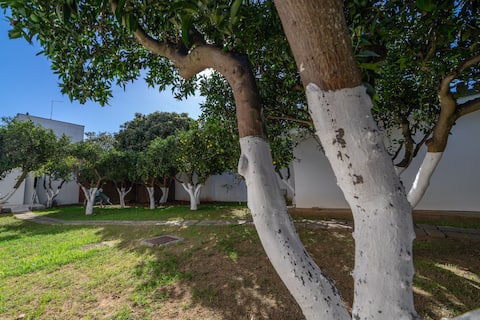 Villa Clori Salice Salentino