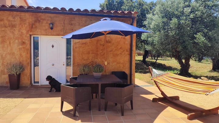 Can Costals, Apartamento Cerezo - Pals