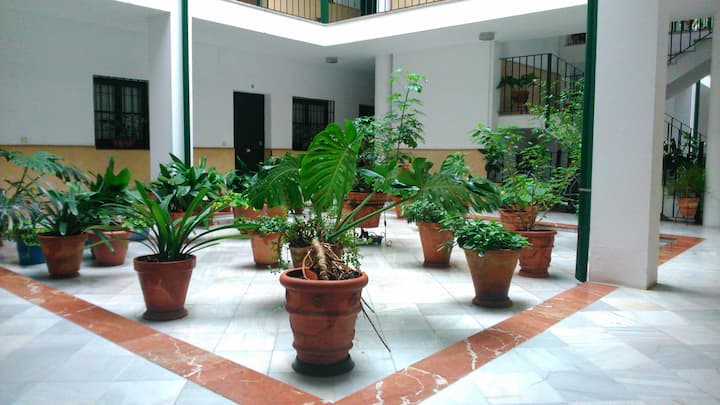 Apartamentos De Antonio Y Isabel, Apartamento Con. - Sevilla