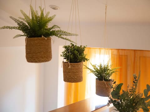 Business Apartments