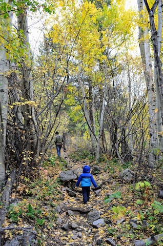Malee’s Denver Guidebook