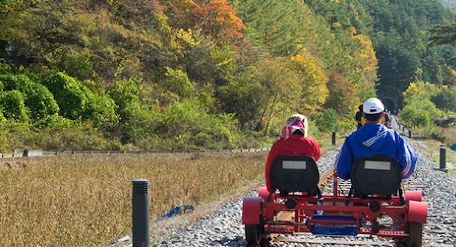 레일바이크