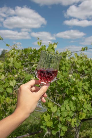 Bunker Hill Vineyard & Winery