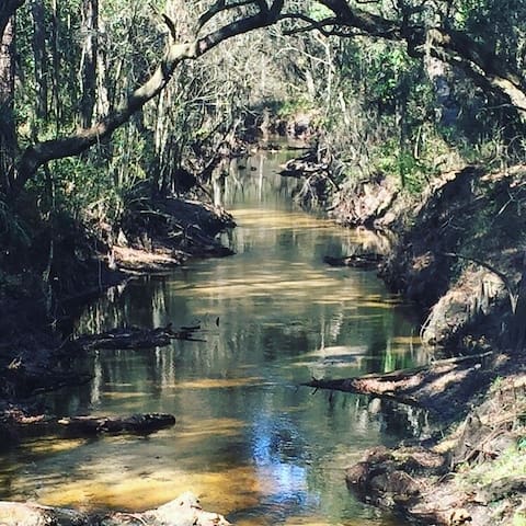 Lower Green Swamp Preserve