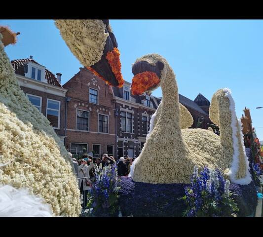 Photo of recommendation