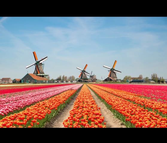 Photo of recommendation