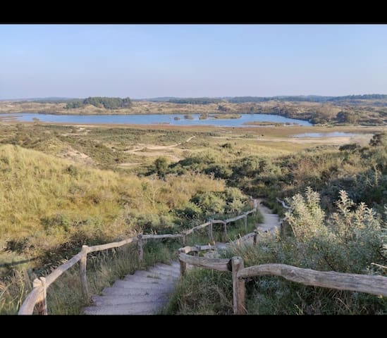 Photo of recommendation