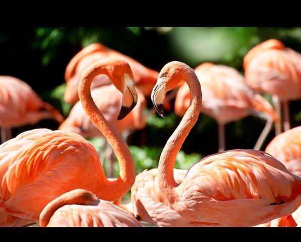 Photo of recommendation