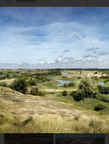 Photo of recommendation