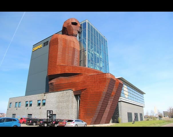 Photo of recommendation