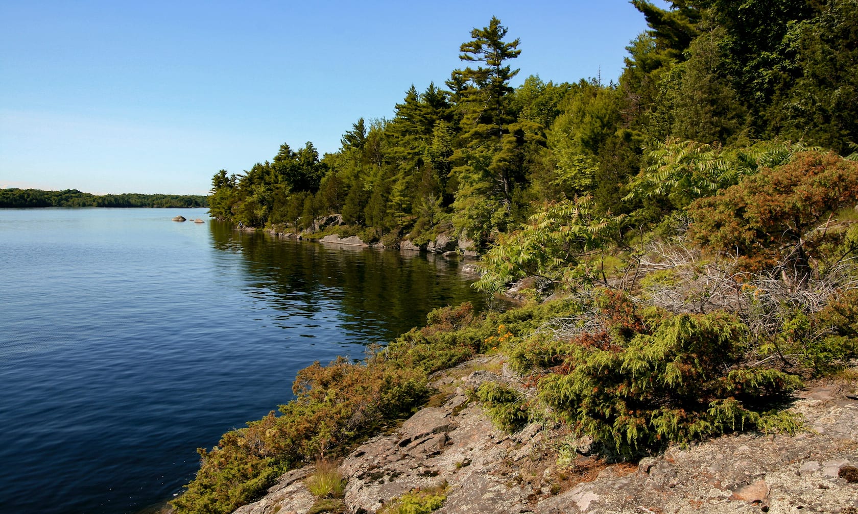 Thousand Islands Cottage Vacation Rentals | Airbnb