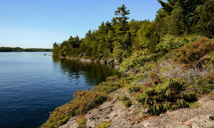 Algonquin, Canada Vacation Rentals – Airbnb