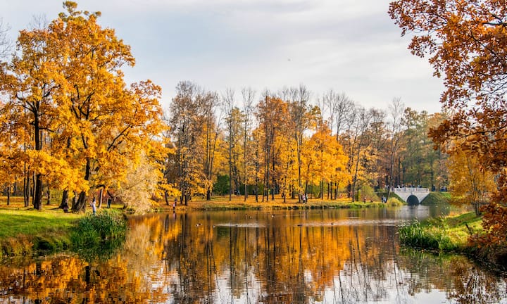 Canaan Valley Resort & Conference Center : hébergements à proximité ...