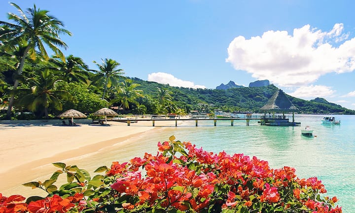 Alojamientos Vacacionales Con Piscina Cerca De Bora Bora Leeward alojamientos-vacacionales-con-piscina-cerca-de-bora-bora-leeward