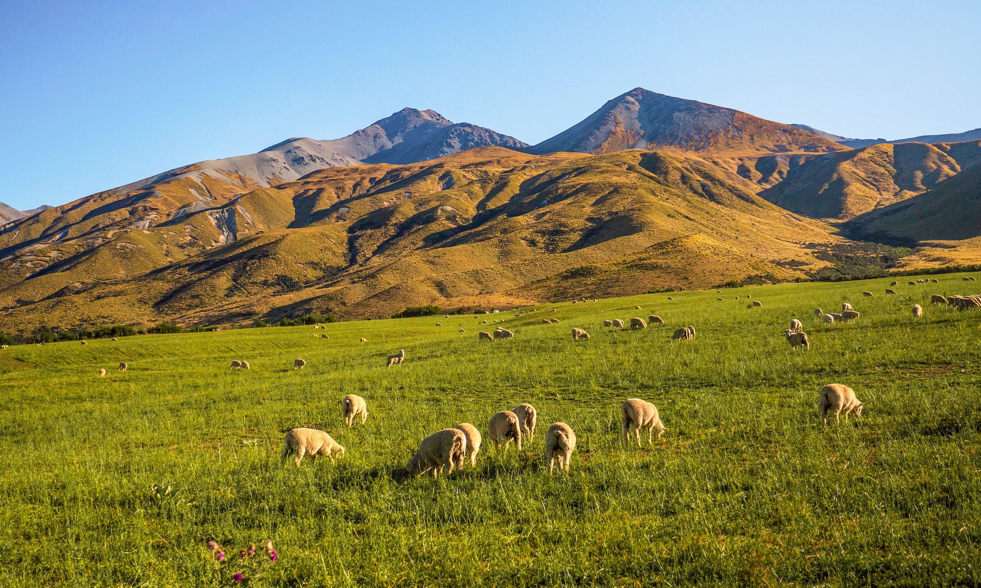 Vocation Home Ashburton House Vacation Rentals | Airbnb